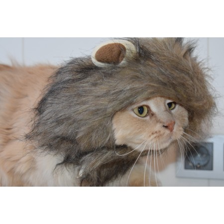 gorro cabeza de león para gatos - adorable y divertido accesorio para tu mascota