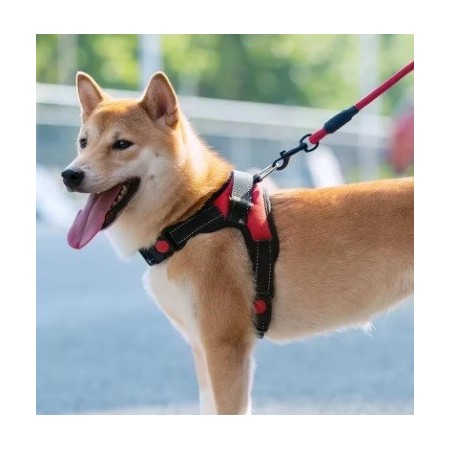 Arnés rojo para perros - Resistente y ajustable para mascotas.