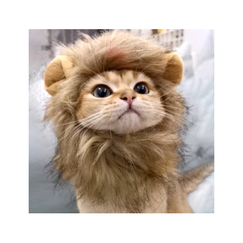 gorro cabeza de león para gatos - adorable y divertido accesorio para tu mascota