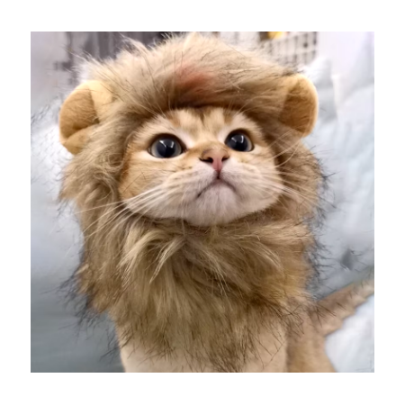 gorro cabeza de león para gatos - adorable y divertido accesorio para tu mascota