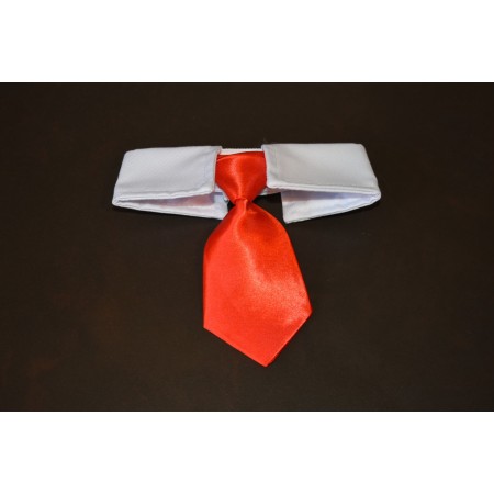 Corbata roja para gatos elegancia y comodidad para tu mascota