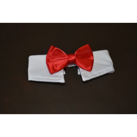 pajarita roja para gatos elegancia y comodidad para tu mascota