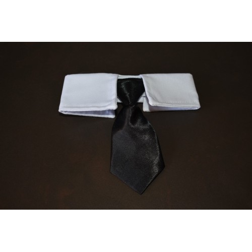 Corbata negra para gatos elegancia y comodidad para tu felino