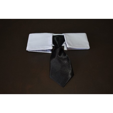 Corbata negra para gatos elegancia y comodidad para tu felino