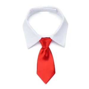 Corbata para perro color rojo. Elegancia y comodidad para tu mascota 2