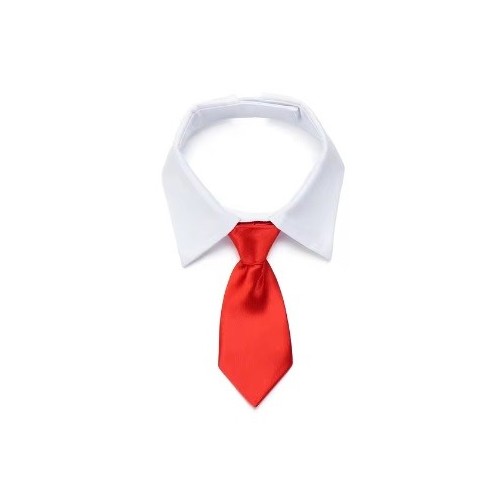 Corbata para perro color rojo. Elegancia y comodidad para tu mascota