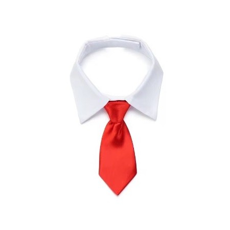 Corbata para perro color rojo. Elegancia y comodidad para tu mascota Corbata para perro color rojo. Elegancia y comodidad para tu mascota