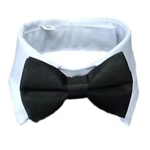Pajarita negra para gatos - el accesorio perfecto para cualquier ocasión