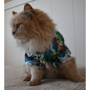 Camisas hawaianas para gatos - estilo tropical y comodidad 2