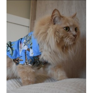 Camisetas playeras para gatos - moda playera para gatos